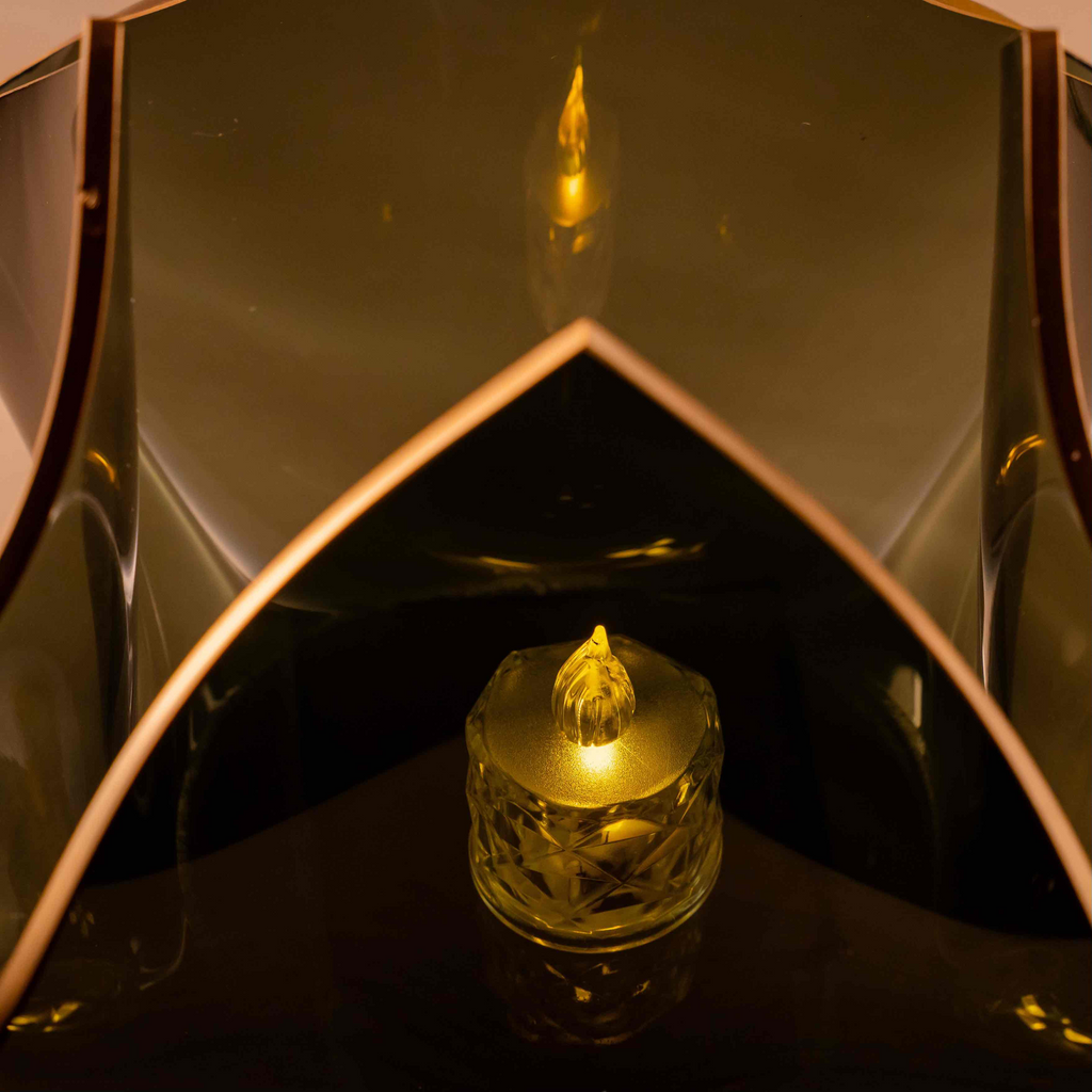Tulip - Black & Gold