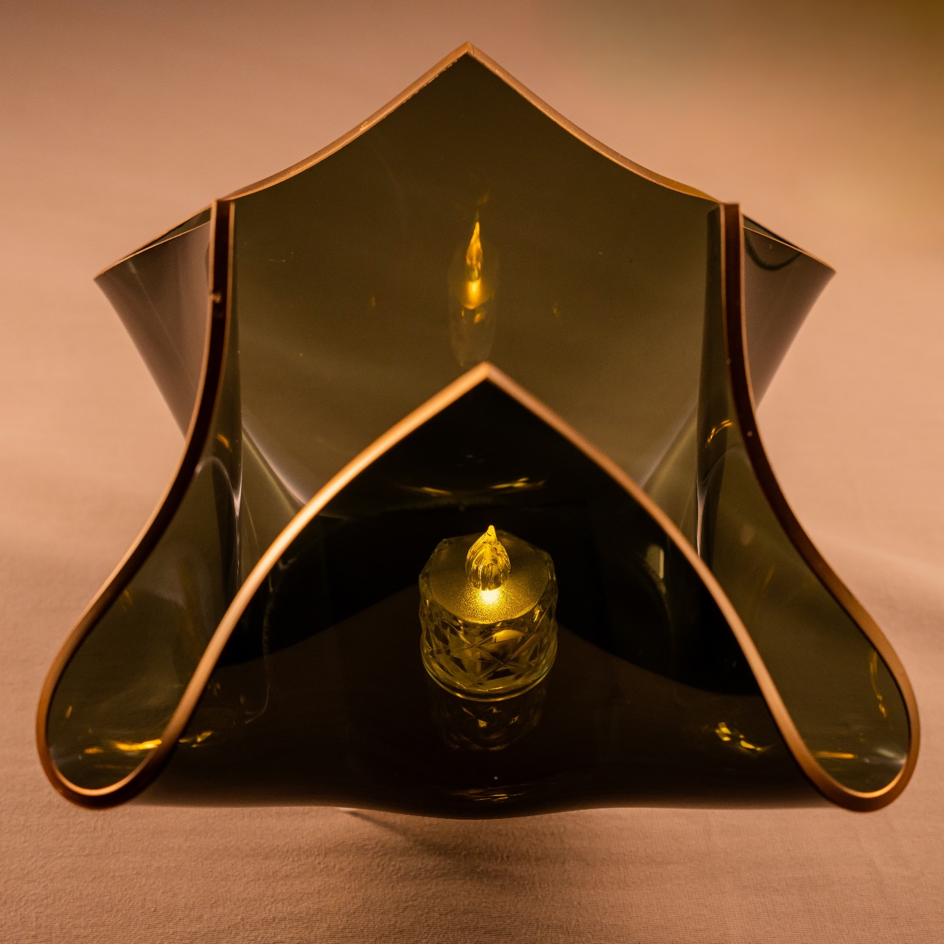 Tulip - Black & Gold