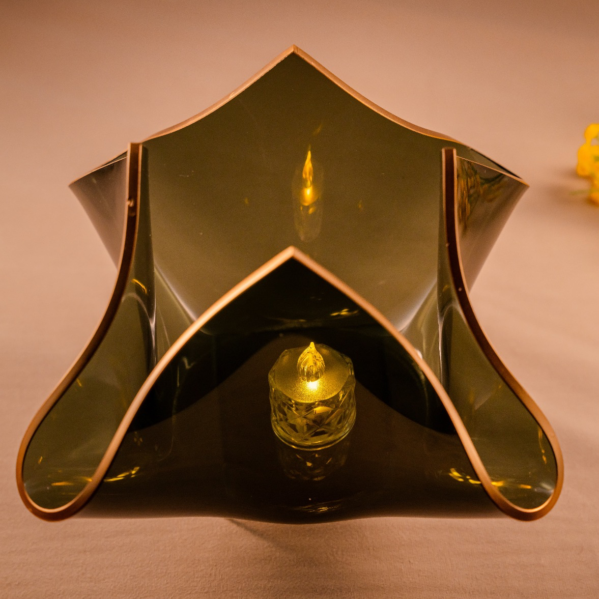 Tulip - Black & Gold